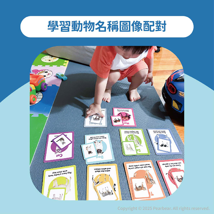 Curios CU-684 商品介紹
