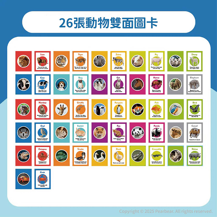 Curios CU-684 商品介紹