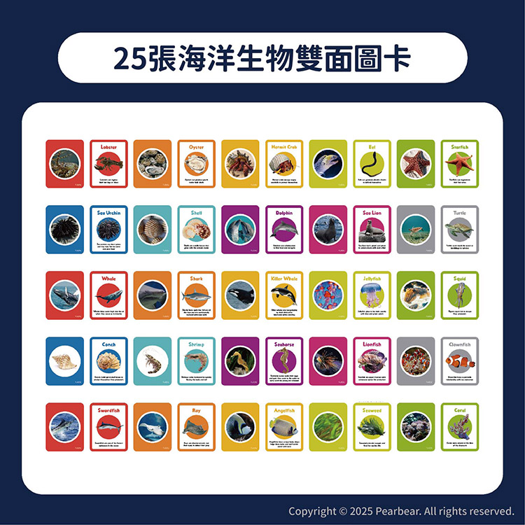 Curios CU-708 商品介紹