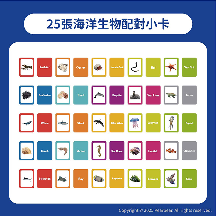 Curios CU-708 商品介紹