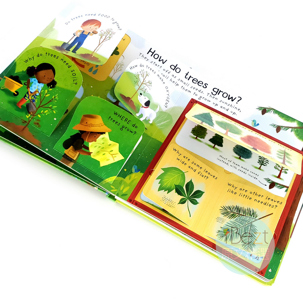 Why do we need trees Lift-the-Flap First Questions and Answers