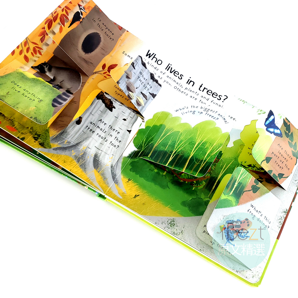 Why do we need trees Lift-the-Flap First Questions and Answers