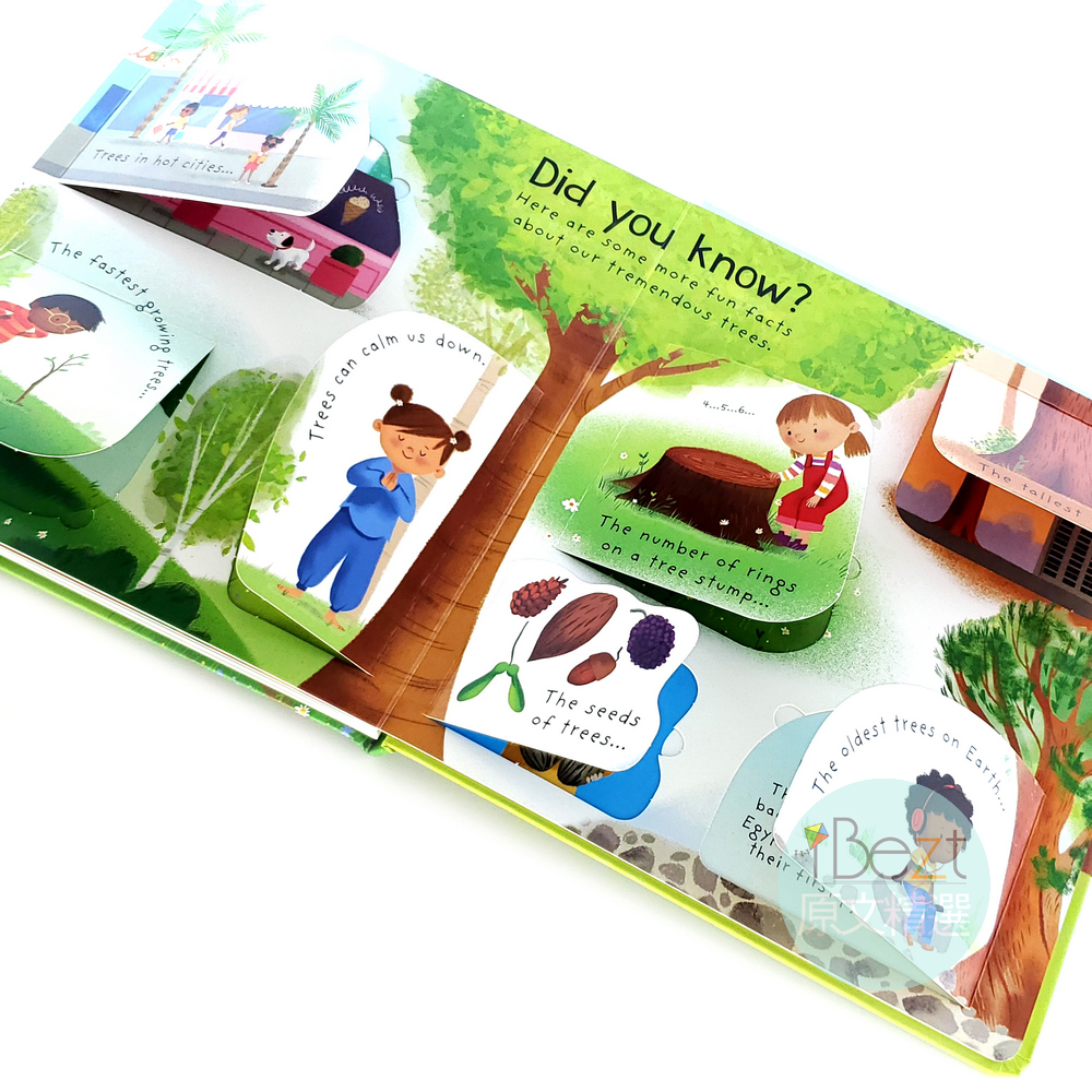 Why do we need trees Lift-the-Flap First Questions and Answers