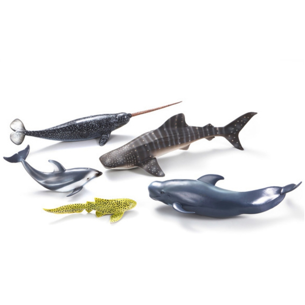 小牛津 - collectA英國高擬真模型- 海洋生物禮盒組5入 / R89671