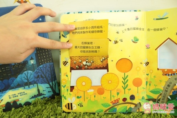 ,平常喝到甜甜的蜂蜜,就是用這小洞來製作和儲存,而且最大的蜜蜂叫「女王蜂」呢!