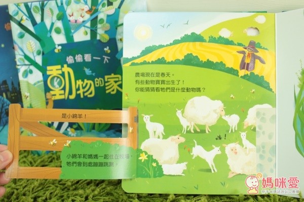 農場的春天來囉