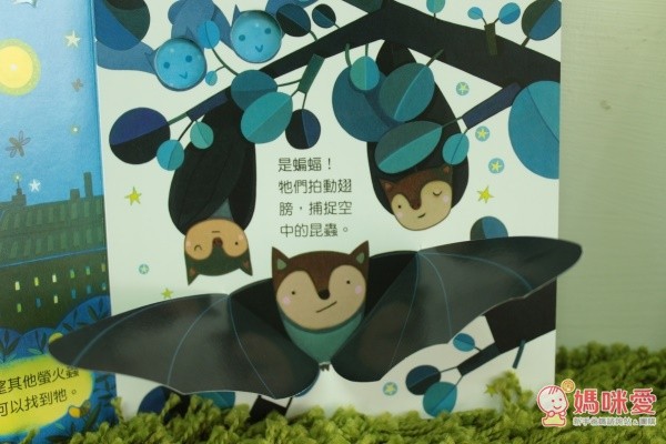臺灣麥克動動書裡可以發現有些動物會在夜晚才出來活動,是蝙蝠!