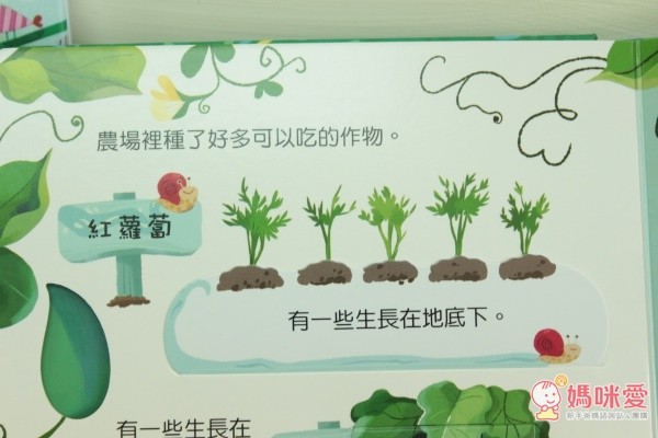 小寶貝知道每天吃的蔬菜是怎樣才能栽培出來的嗎?快打開臺灣麥克動動書
