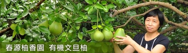 有機栽種 35 年老欉，產地新鮮直送