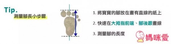 Duflex 都適鞋/杜大夫鞋
