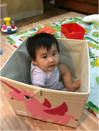 3 sprouts 居家收納