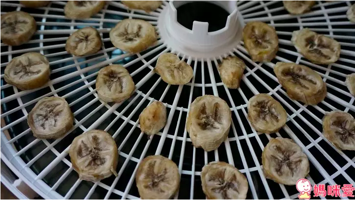 i LIFE 食物保鮮烘乾機