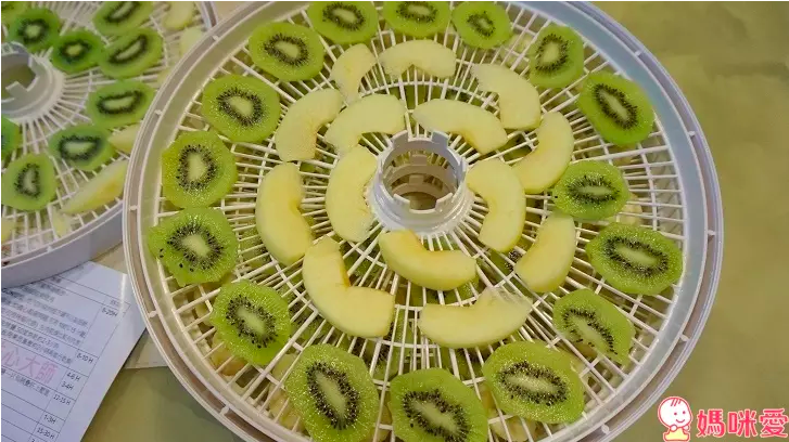 i LIFE 食物保鮮烘乾機