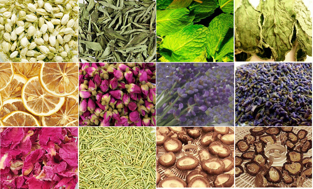 i LIFE 食物保鮮烘乾機