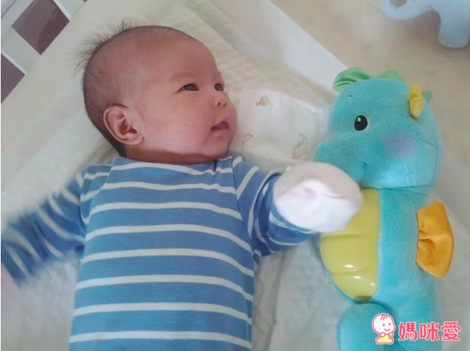 Summer Infant,寶貝舒眠星光投射機,費雪小海馬,長頸鹿,莫札特音樂方塊