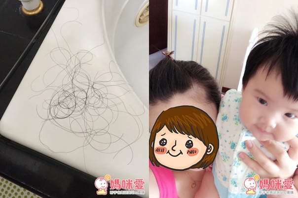 萊茵之星淨水器