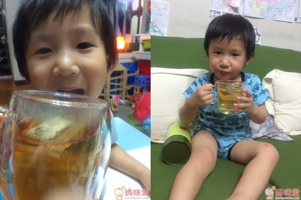 野角有機頂級南非國寶茶