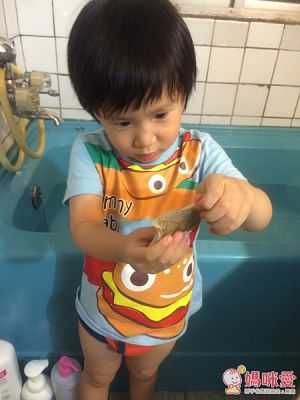 野角有機頂級南非國寶茶