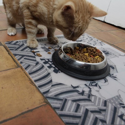 美國Modern Twist餐墊, 學習餐具 