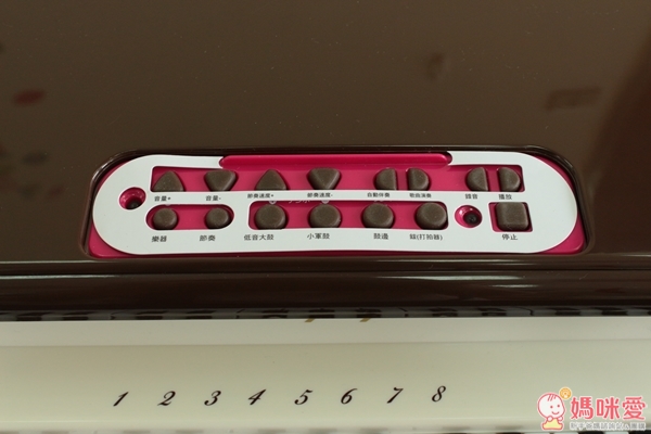 【預購】日本《樂雅Toyroyal》♫夢幻古典鋼琴X四和音電子琴♫ 培養小小貝多芬