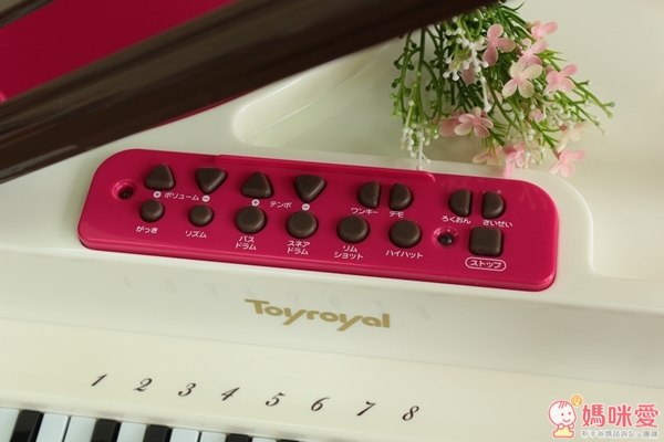 【預購】日本《樂雅Toyroyal》♫夢幻古典鋼琴X四和音電子琴♫ 培養小小貝多芬