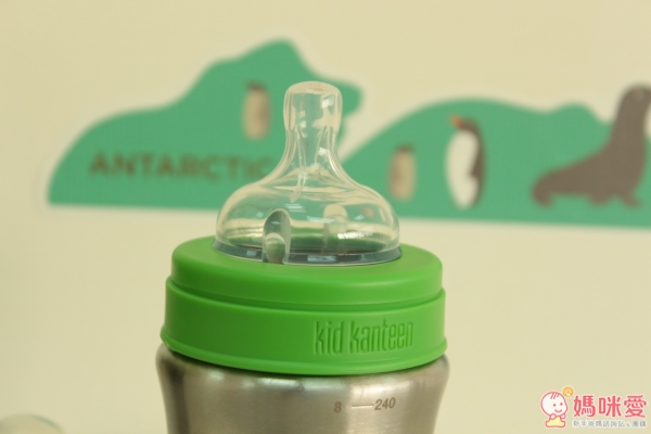 美國【Klean Kanteen】不鏽鋼保溫保冰水瓶 / 水杯 / 幼童水瓶