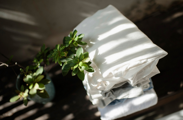 天竺葵茶苷貼身衣物手洗精