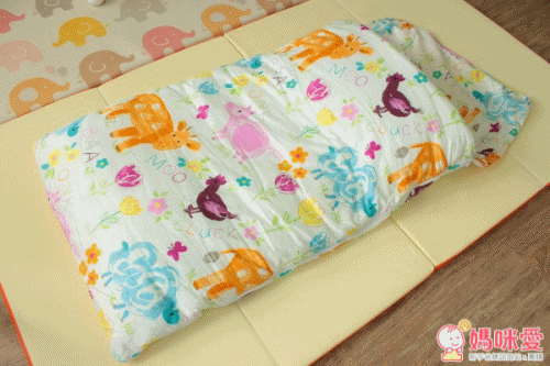 台灣【Fotex芙特斯】兒童防蟎睡袋