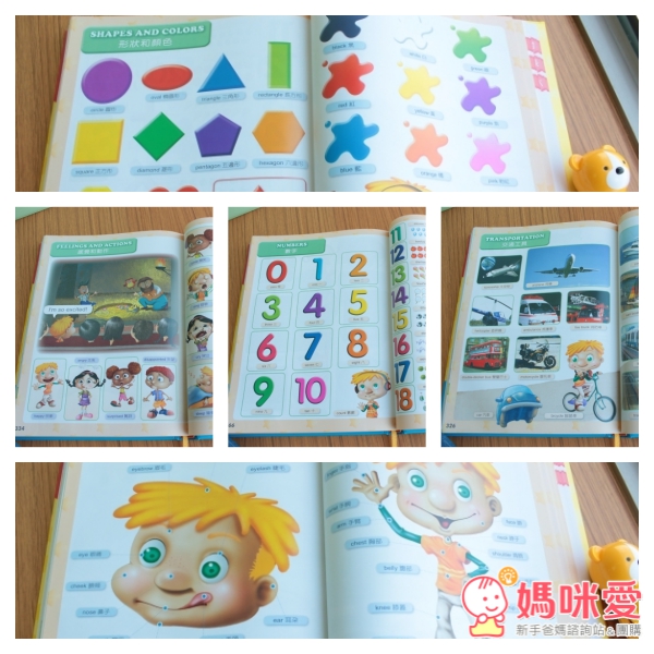 免運 現折200【華碩文化 英漢圖典】點讀筆＋隨身電子辭典 從2歲用到國中 學英語簡單又有趣