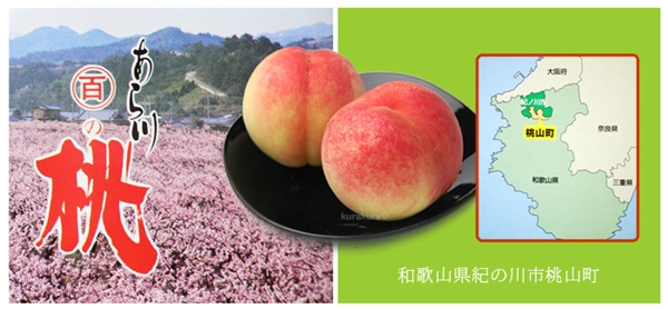 【預購】日本空運夏日珍品♛和歌山白鳳水蜜桃禮盒♛精心培育的香甜好滋味✶免運優惠✶