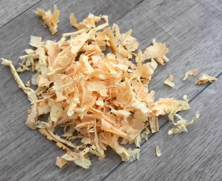 【免運】療癒系香香童話動物❤韓國Kakibaby涼涼抱枕❤溫馨陪伴寶寶好眠【現折購物金150】