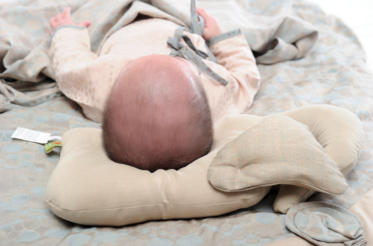 【免運】療癒系香香童話動物❤韓國Kakibaby涼涼抱枕❤溫馨陪伴寶寶好眠【現折購物金150】