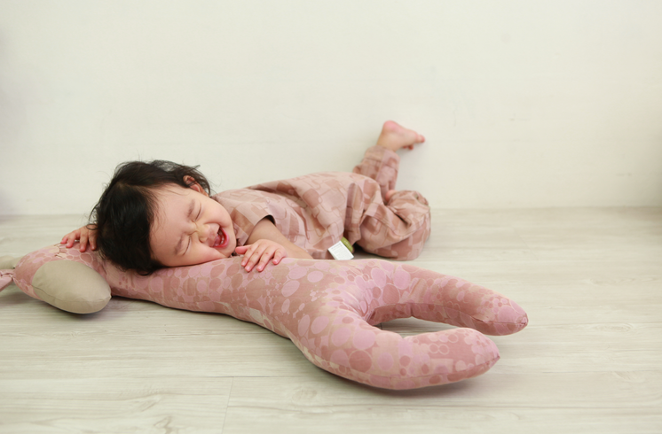 【免運】療癒系香香童話動物❤韓國Kakibaby涼涼抱枕❤溫馨陪伴寶寶好眠【現折購物金150】