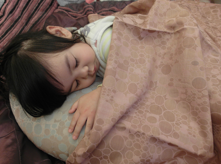 【免運】療癒系香香童話動物❤韓國Kakibaby涼涼抱枕❤溫馨陪伴寶寶好眠【現折購物金150】