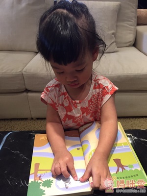 臺灣麥克貼紙書