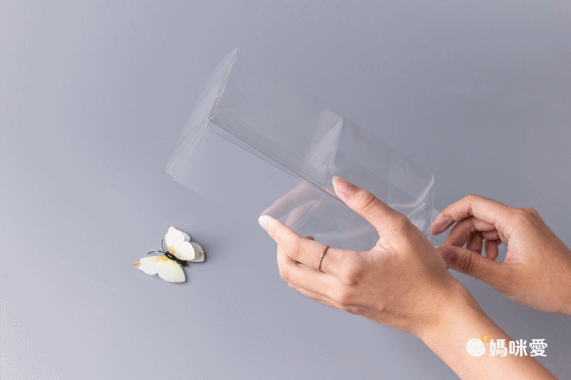 【限時開團】怕蟲一族救星！超簡單抓蟲神器