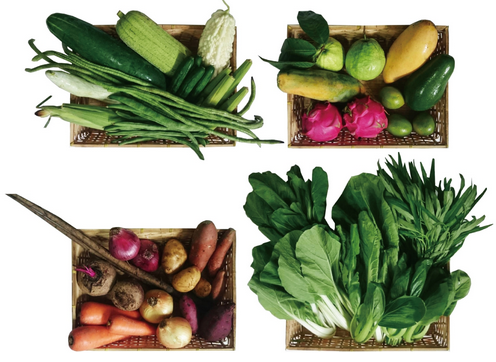 友善大地 有機飲食 / 蔬果