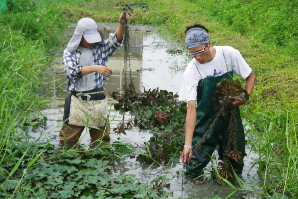 友善大地 有機飲食 / 蔬果