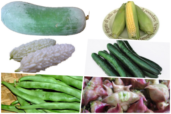 友善大地 有機飲食 / 蔬果