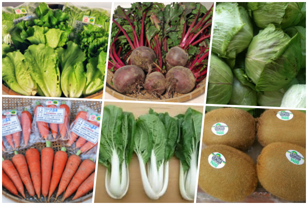 友善大地 有機飲食 / 蔬果