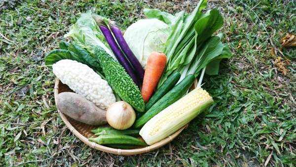 友善大地 有機飲食 / 蔬果
