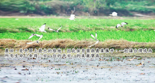 友善大地 有機飲食 / 蔬果