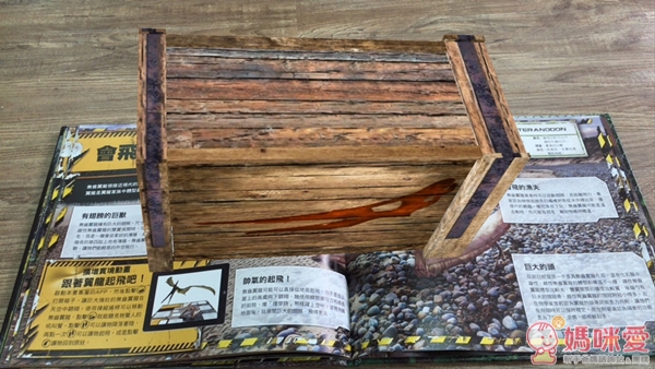 哇！恐龍跑出來了：恐龍小百科