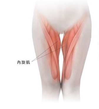 鍛鍊內旋肌