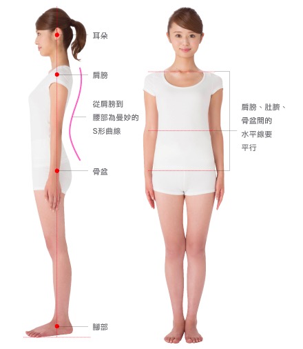 正確姿勢,維持優美體態
