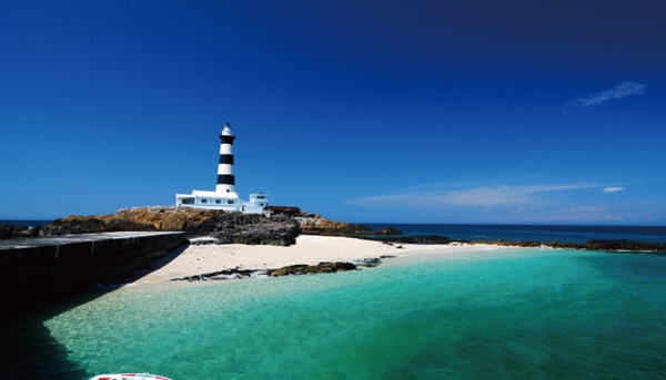 Hi Way 澎湖海味干貝醬