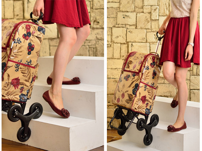 THE CARROS 卡蘿購物車 / 保溫餐蓋 / 保鮮提袋