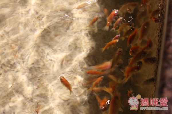 礁溪長榮鳳凰酒店